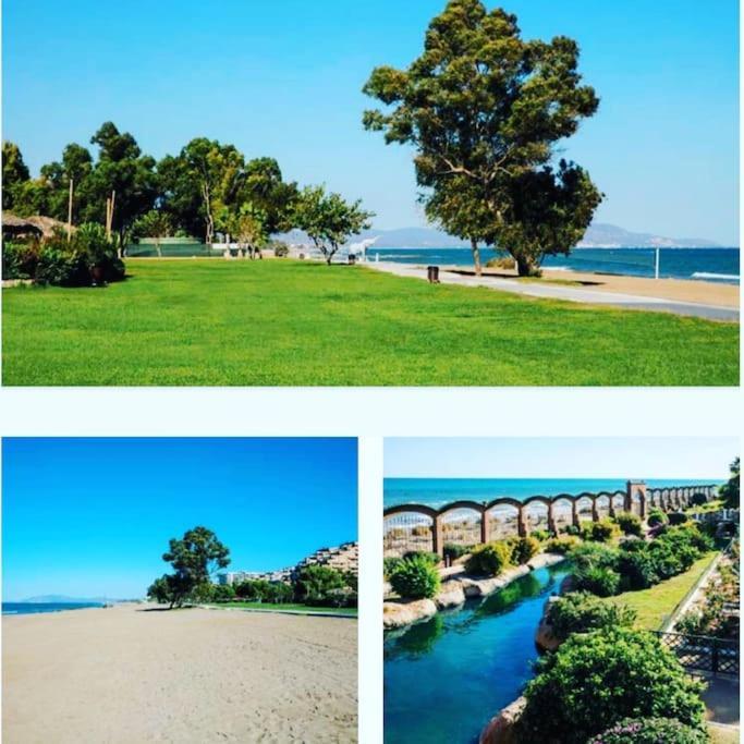 Apartment Primera Linea De Playa, Pies En La Arena, Marina D'or Magic Word *